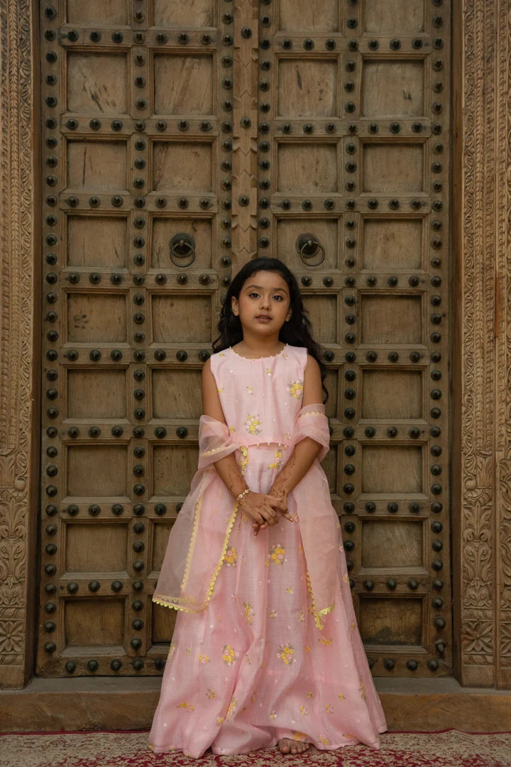 Mul Blush-pink Lehenga